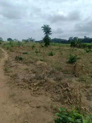 Ten Archers of Title Land at Amasaman Obom