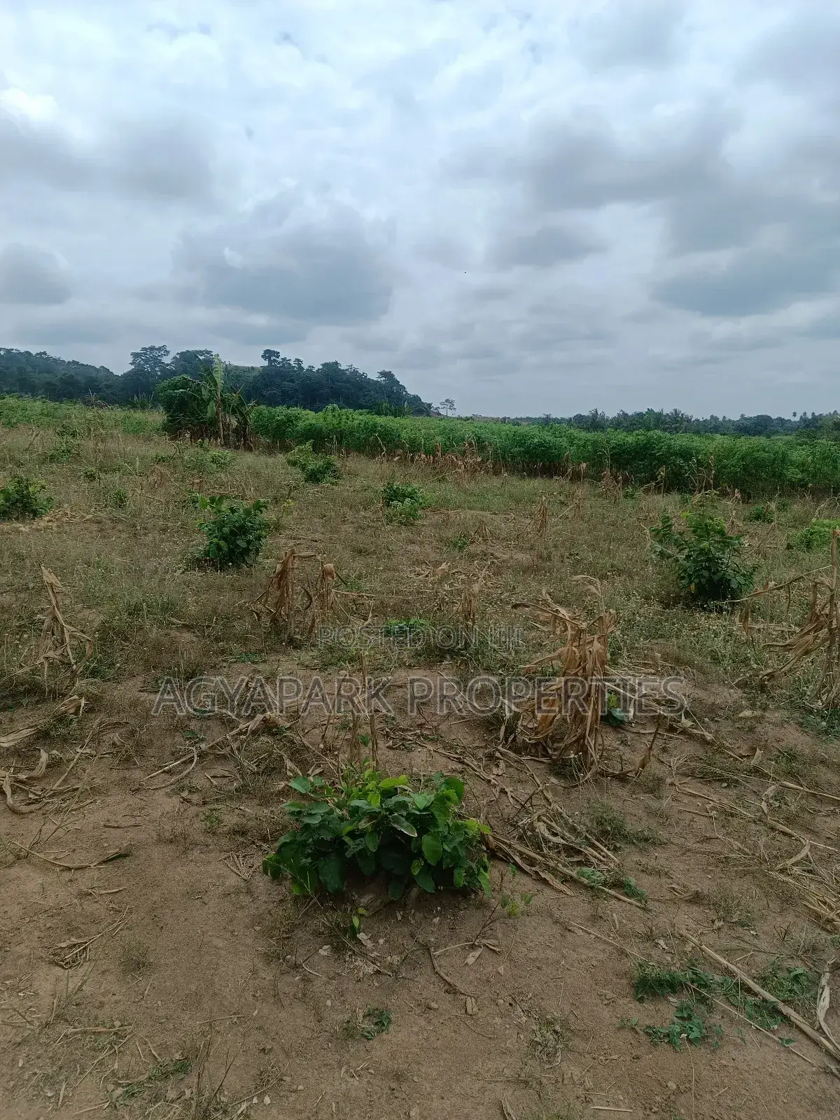 Ten Archers of Title Land at Amasaman Obom