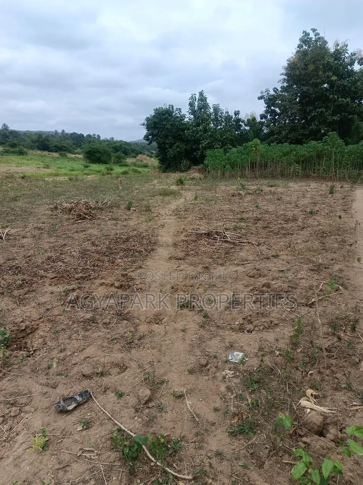Ten Archers of Title Land at Amasaman Obom