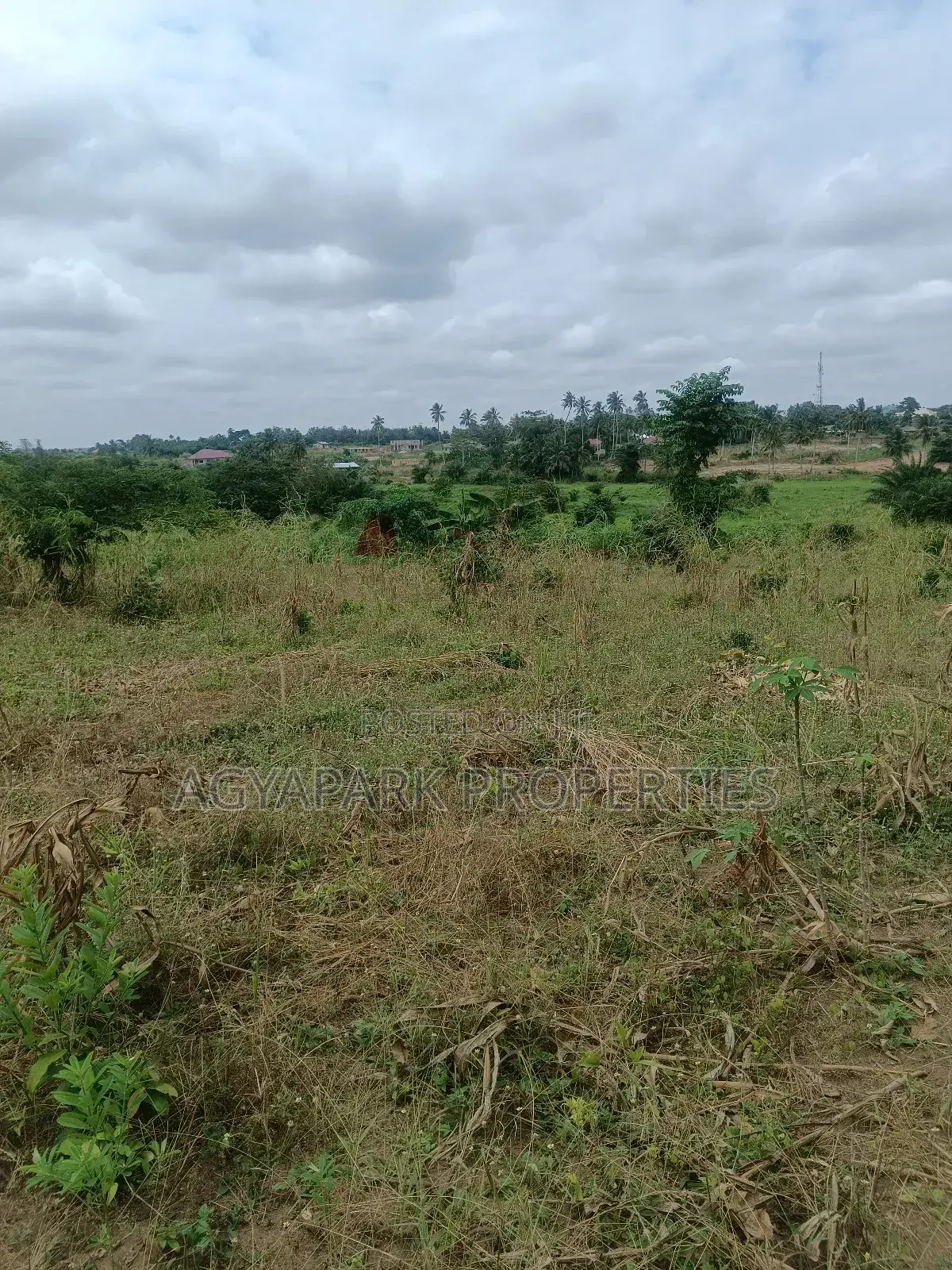 Ten Archers of Title Land at Amasaman Obom