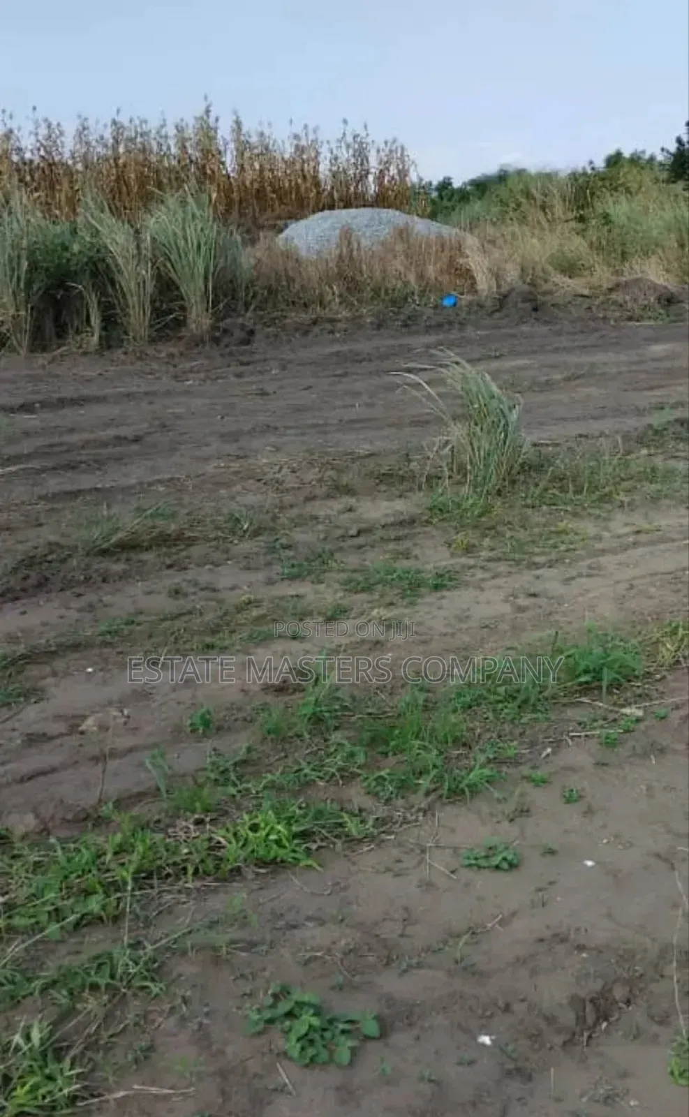 Land at Dominase Township With Authentic Documents