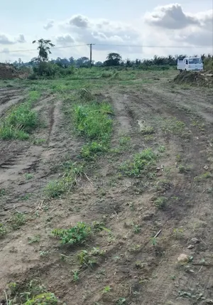 Own a Land With No Stumbling Block