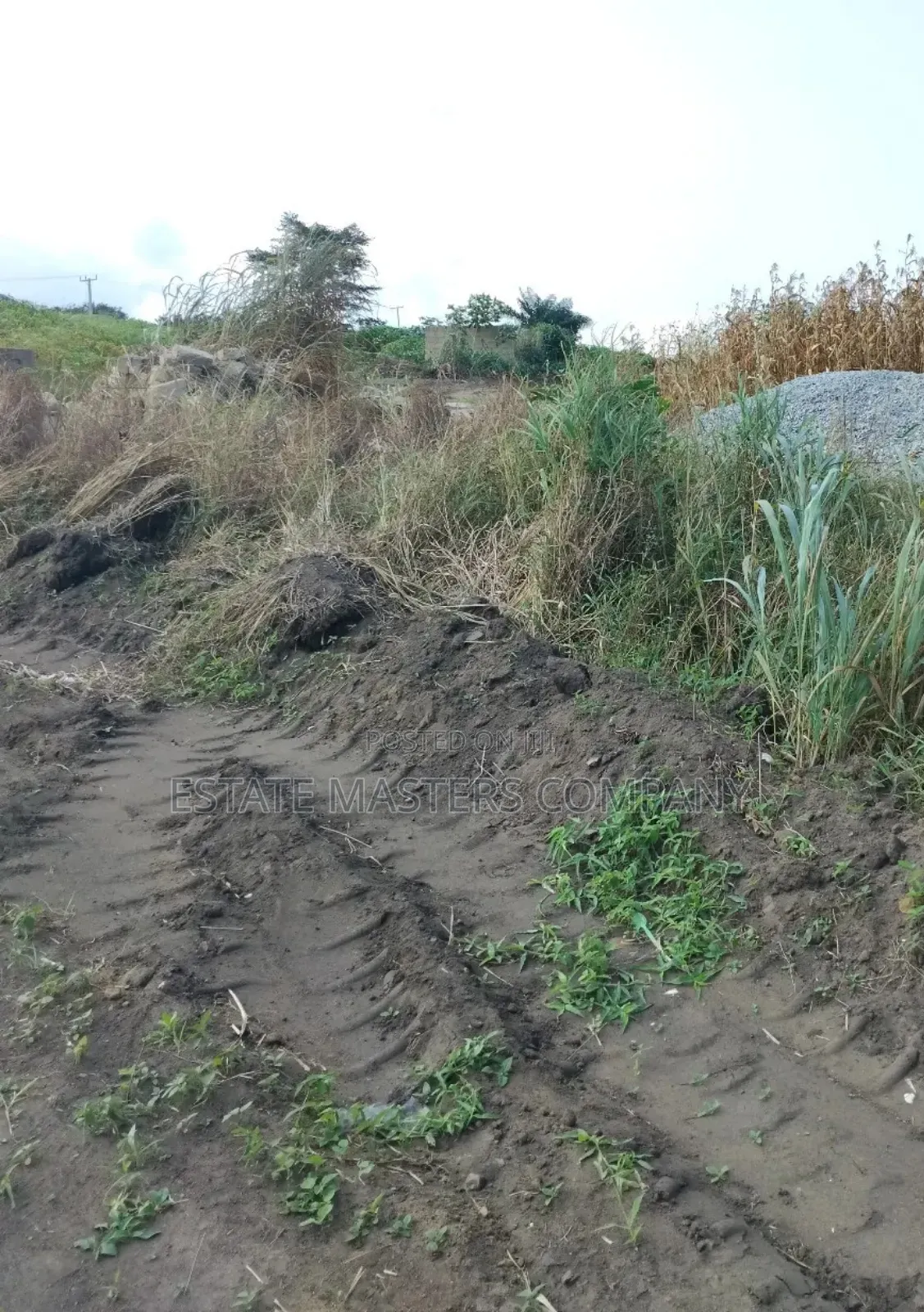 Land With Good Road Network to Site