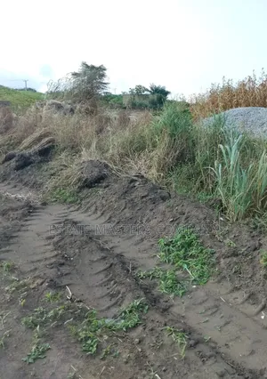 Land With Good Road Network to Site