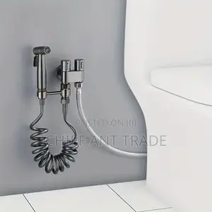 Silver Bidet Pressure Gun.
