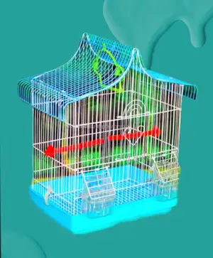 Finches Birdcage