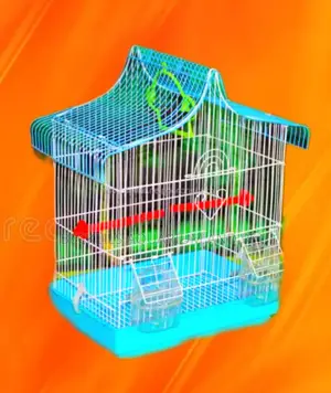 Finches Birdcage
