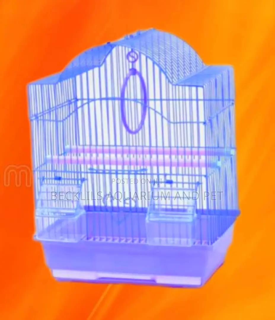 Canary Bird Cage