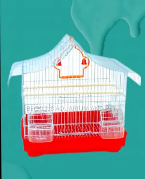 Canary Bird Cage