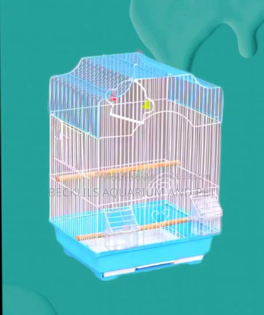 Cages for Love Birds