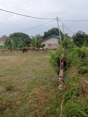 Titled Nin(9) Plots Around DPS School