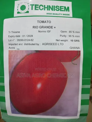 Tomato Seeds