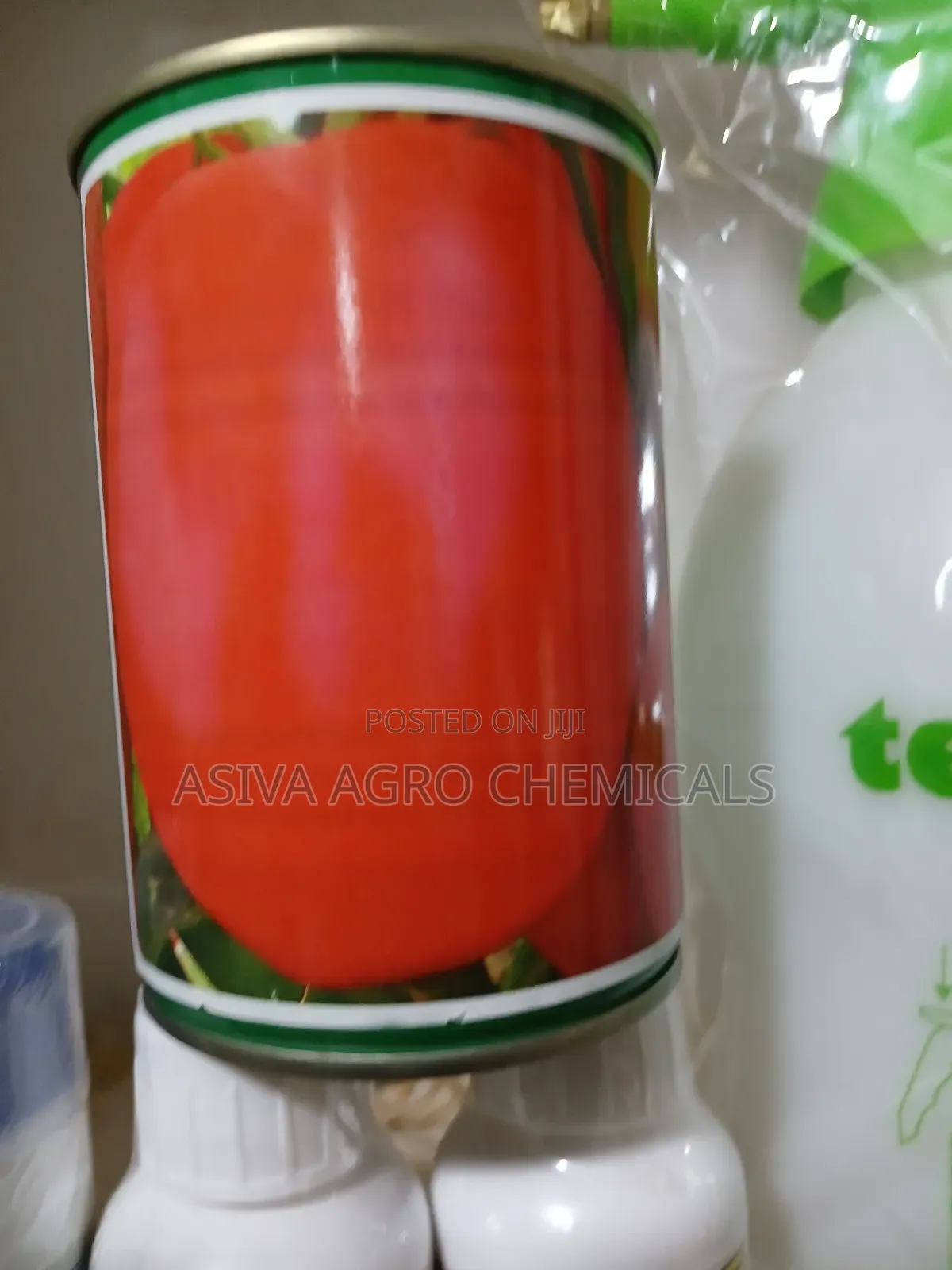 Tomato Seeds