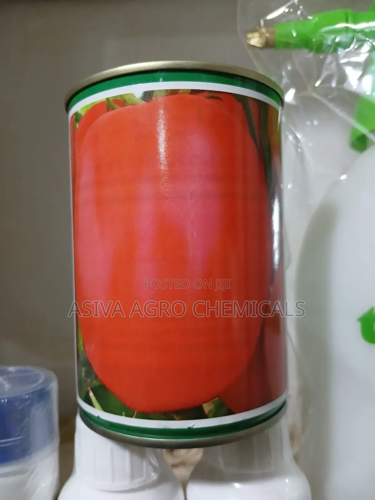 Tomato Seeds