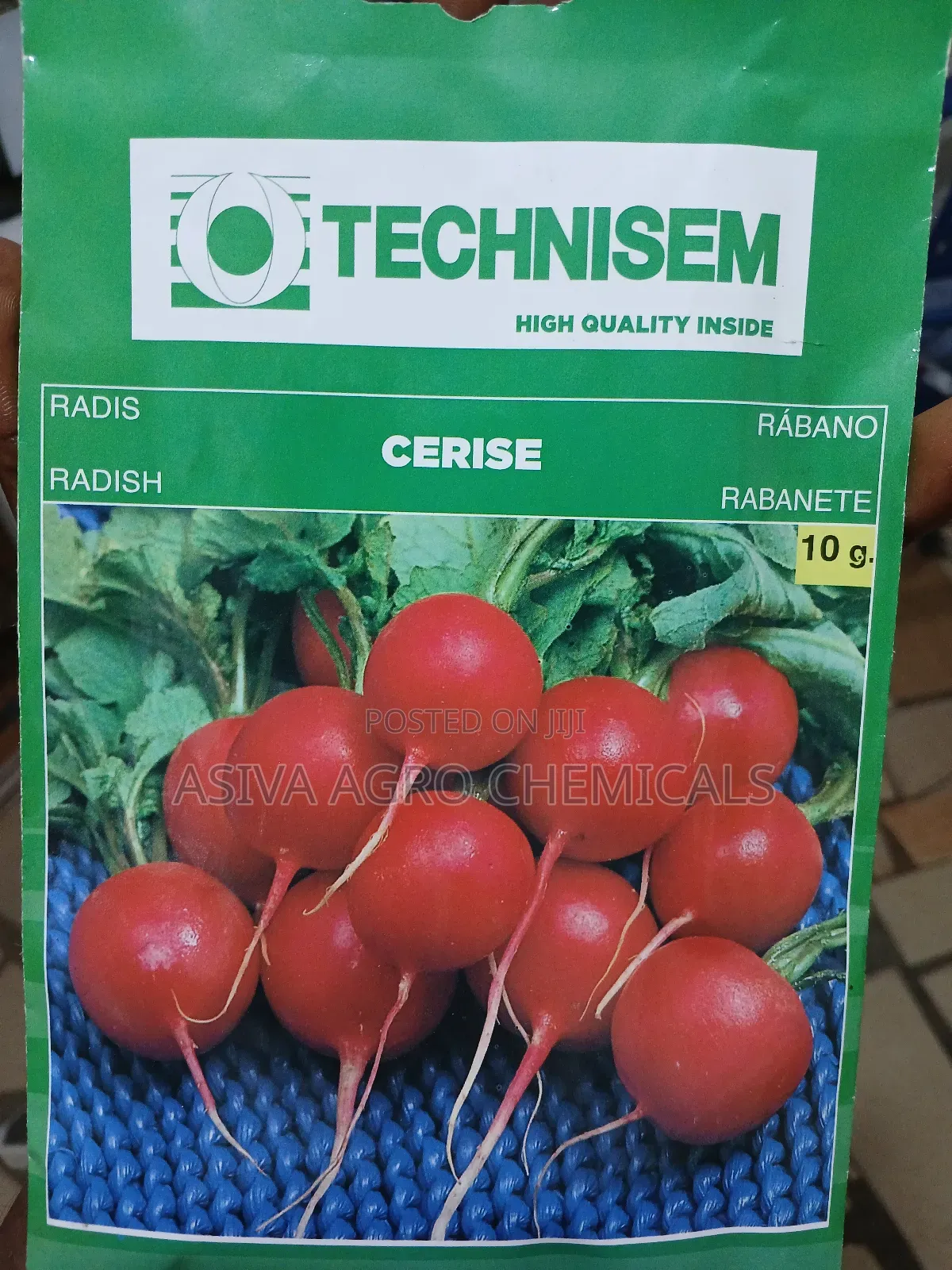 Radish Seeds