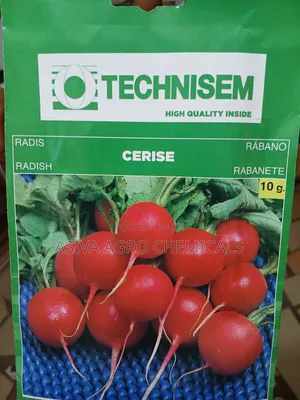 Radish Seeds