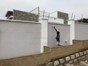 Photo - High Level Painting Service