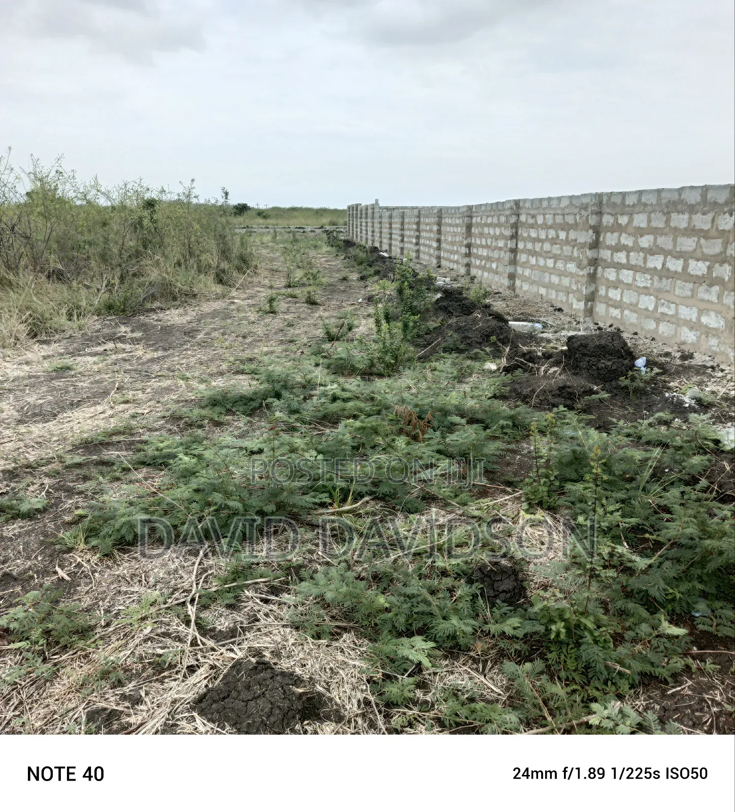3 Plots Central University Area