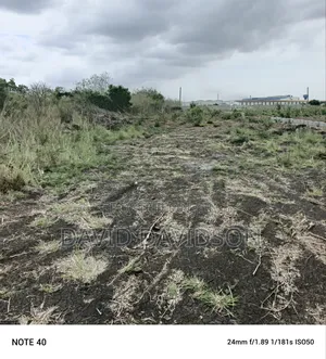 3 Plots Central University Area