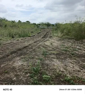 3 Plots Central University Area