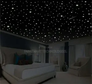 Star Ceiling Light for Luxury Homes
