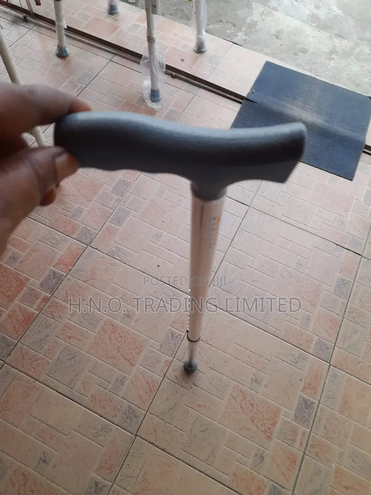 Walking Stick