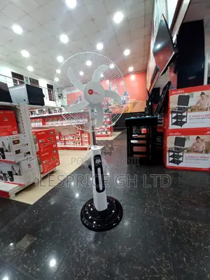 Classic ~18” Rechargeable Remote Control Fan