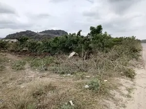 Registered 6 Plots of Land for Sale in Shai Hills