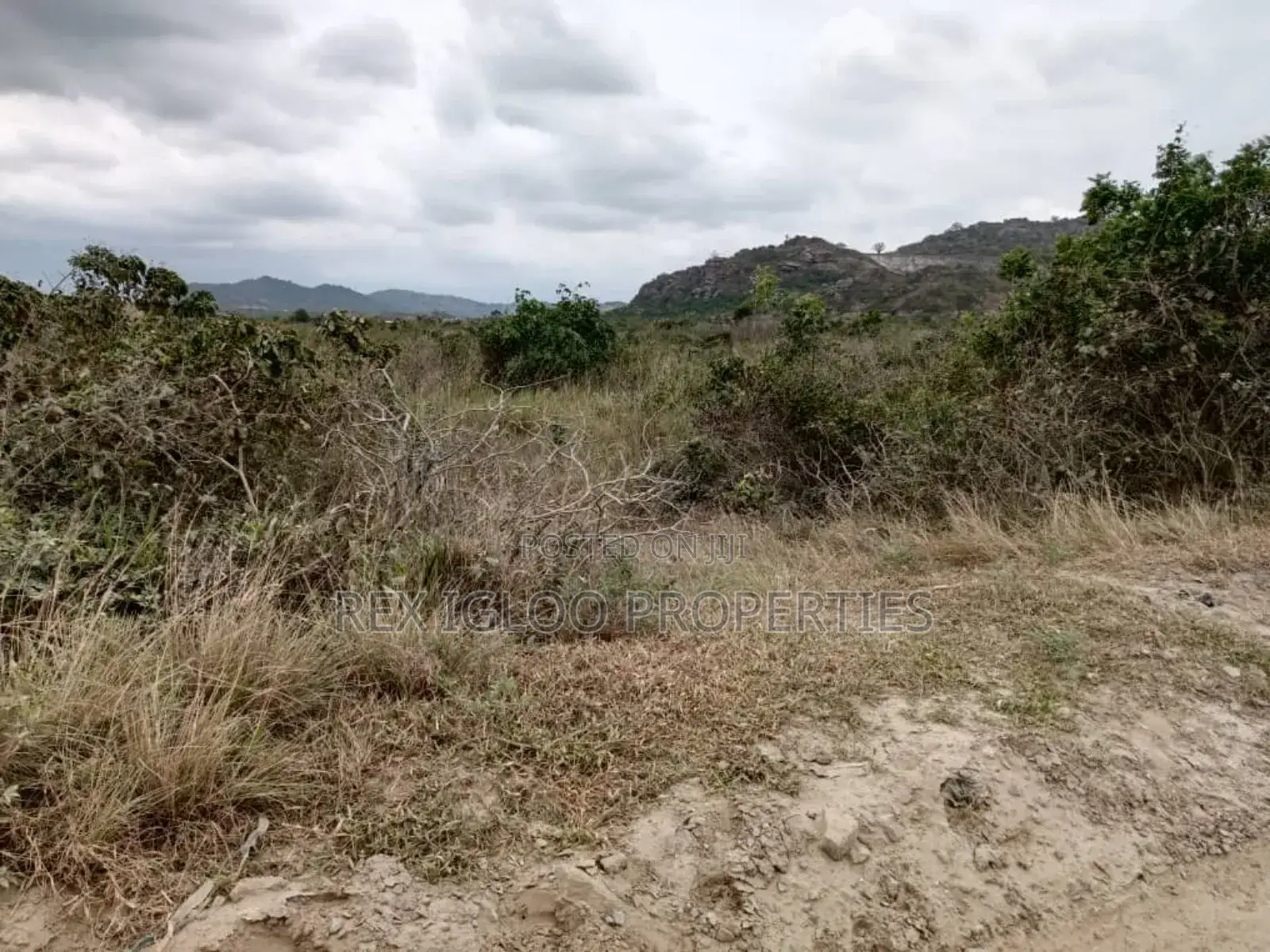 Registered 6 Plots of Land for Sale in Shai Hills