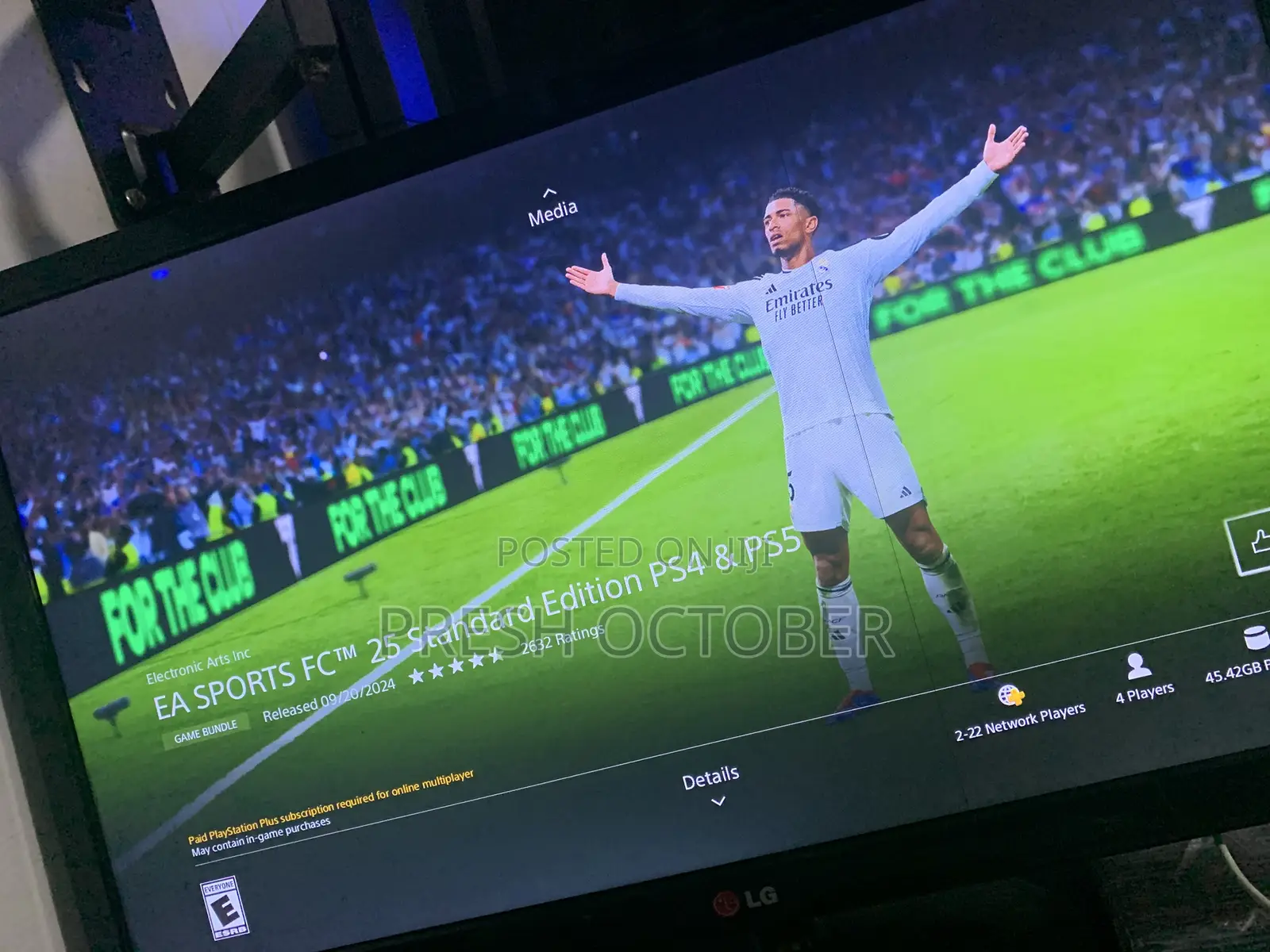 FC25 and Games Accounts PS5/PS4