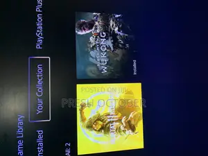 FC25 and Games Accounts PS5/PS4