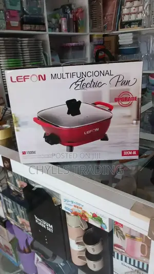 9litres Electric Cooking Pot