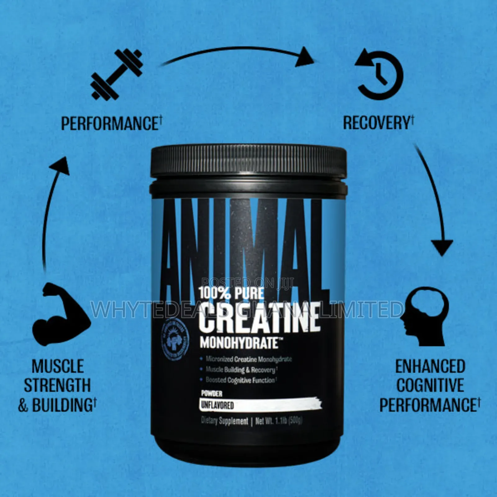 Animal Micronized Creatine Monohydrate-Recovery Men Women