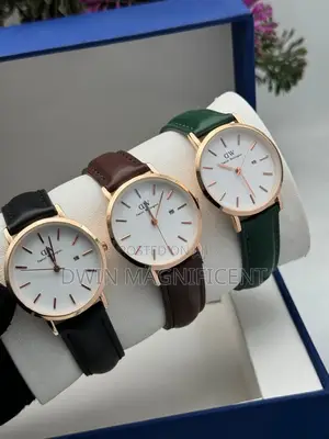 DW Daniel Wellington Classic Bristow Watch
