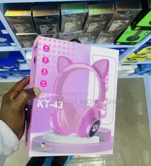 Quality KT-43 Wireless Stereo Headphone System.