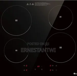 4burner Induction Cooker From Ekatro, UK