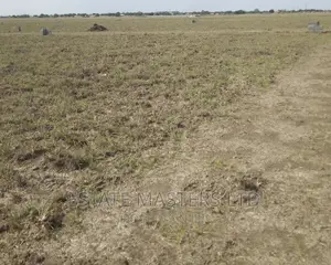 Promotional Estate Land