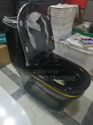 Black and Gold Water Closet