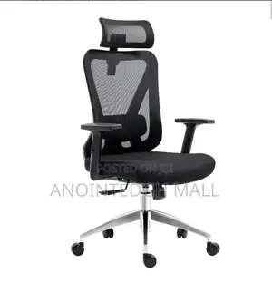 Ergonomic Mesh Executive Swivel Chair - Black