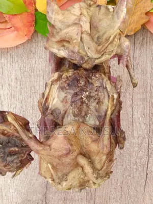 Grilled Guinea Fowl