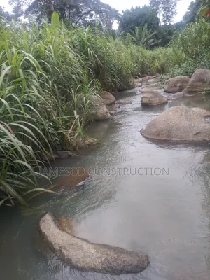 Cocoa Farm for Sale
