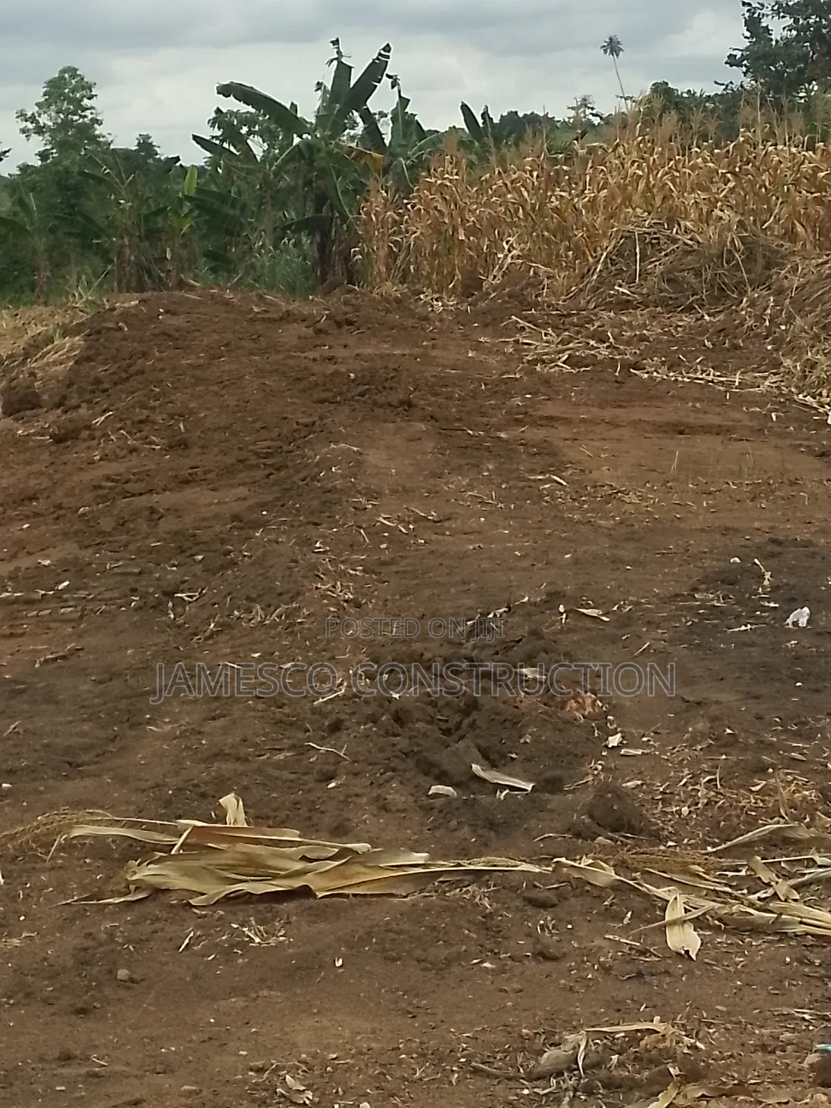 Farmland for Sale