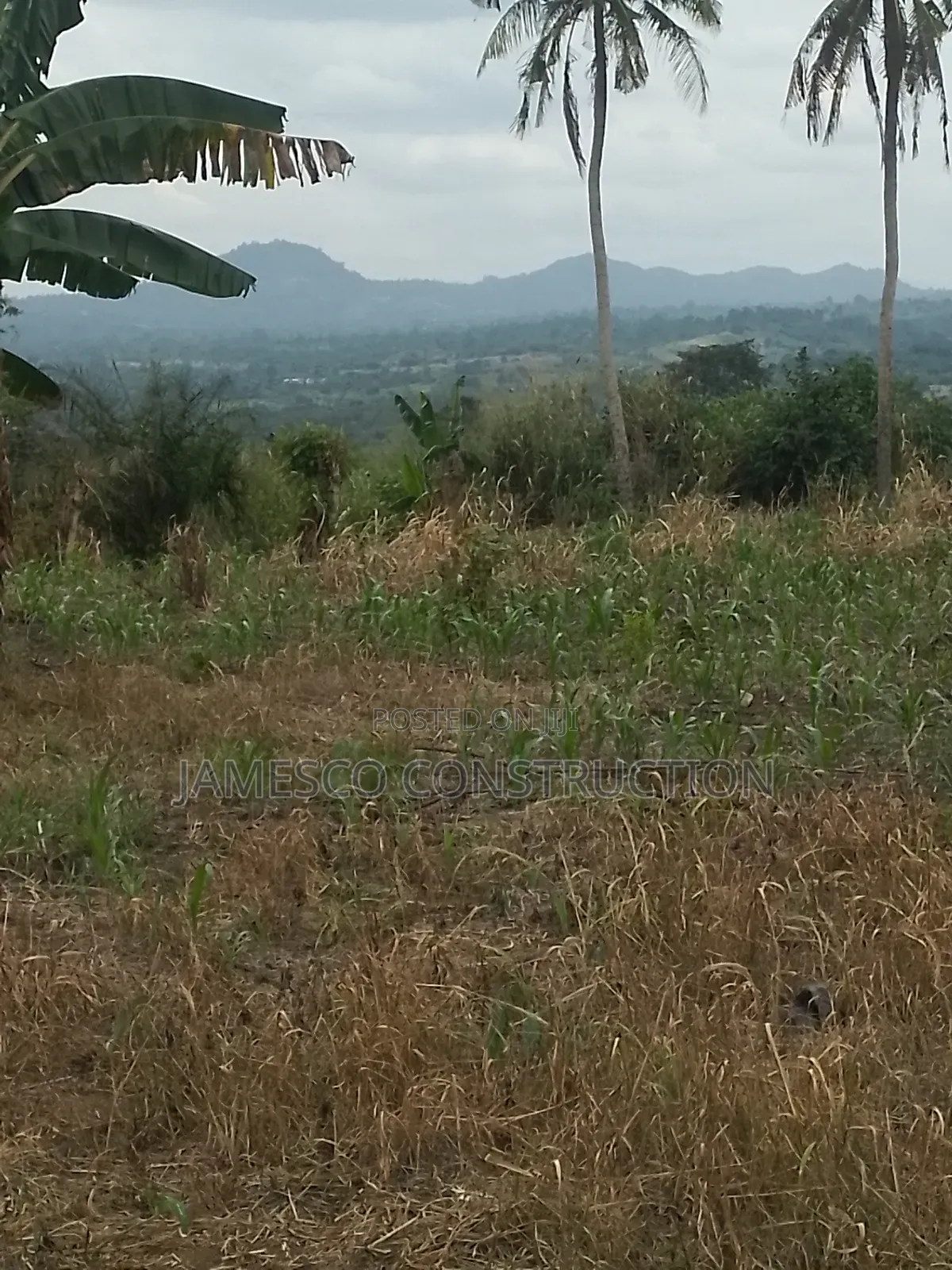 Farmland for Sale