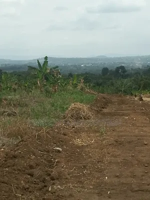 Farmland for Sale