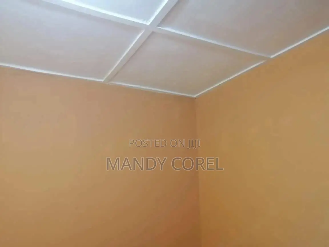 1bdrm Apartment in Peace Clinic Area for rent