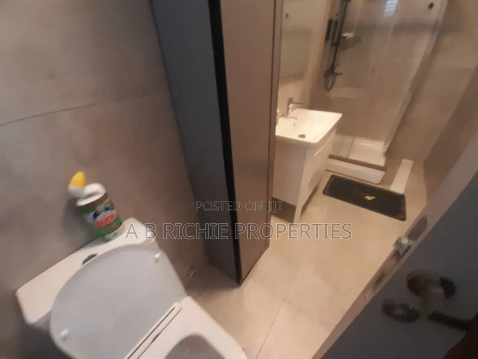 Furnished 3bdrm Apartment in Ab Richie Properties, Tseaddo for rent