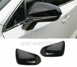 Lexus RX350 Mirror Covers