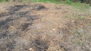 Plot for Sale at Anaji Mpatado