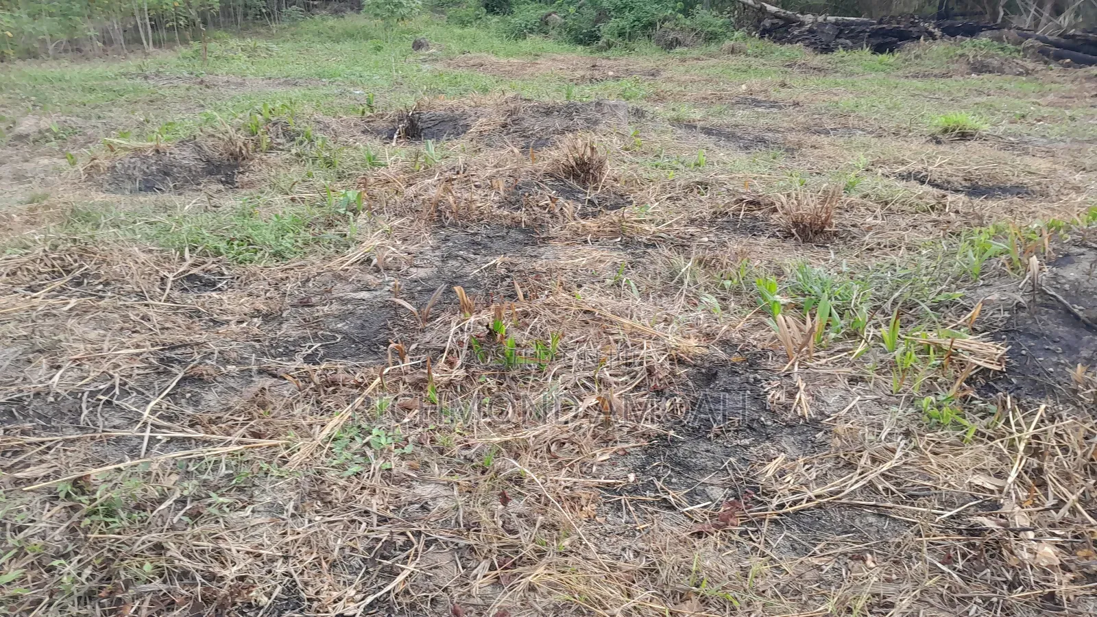 Plot for Sale at Anaji Mpatado