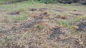 Plot for Sale at Anaji Mpatado